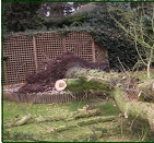 Avoid risk of injury let  A.S.Tree Services do the job for you