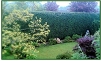 Hedge cutting and topping