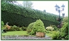 Hedge cutting and topping